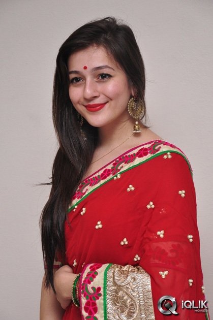 Celebs-at-Saheba-Subramanyam-Special-Show